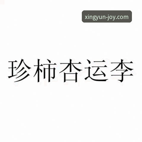 杏运娱乐更新 vs 旧版：哪次升级更值得玩家期待？深度对比分析与用户反馈揭秘
